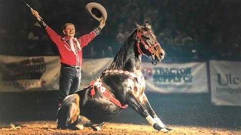 The Psychology of Rodeo Horse Mascot Suits and Fan Engagement